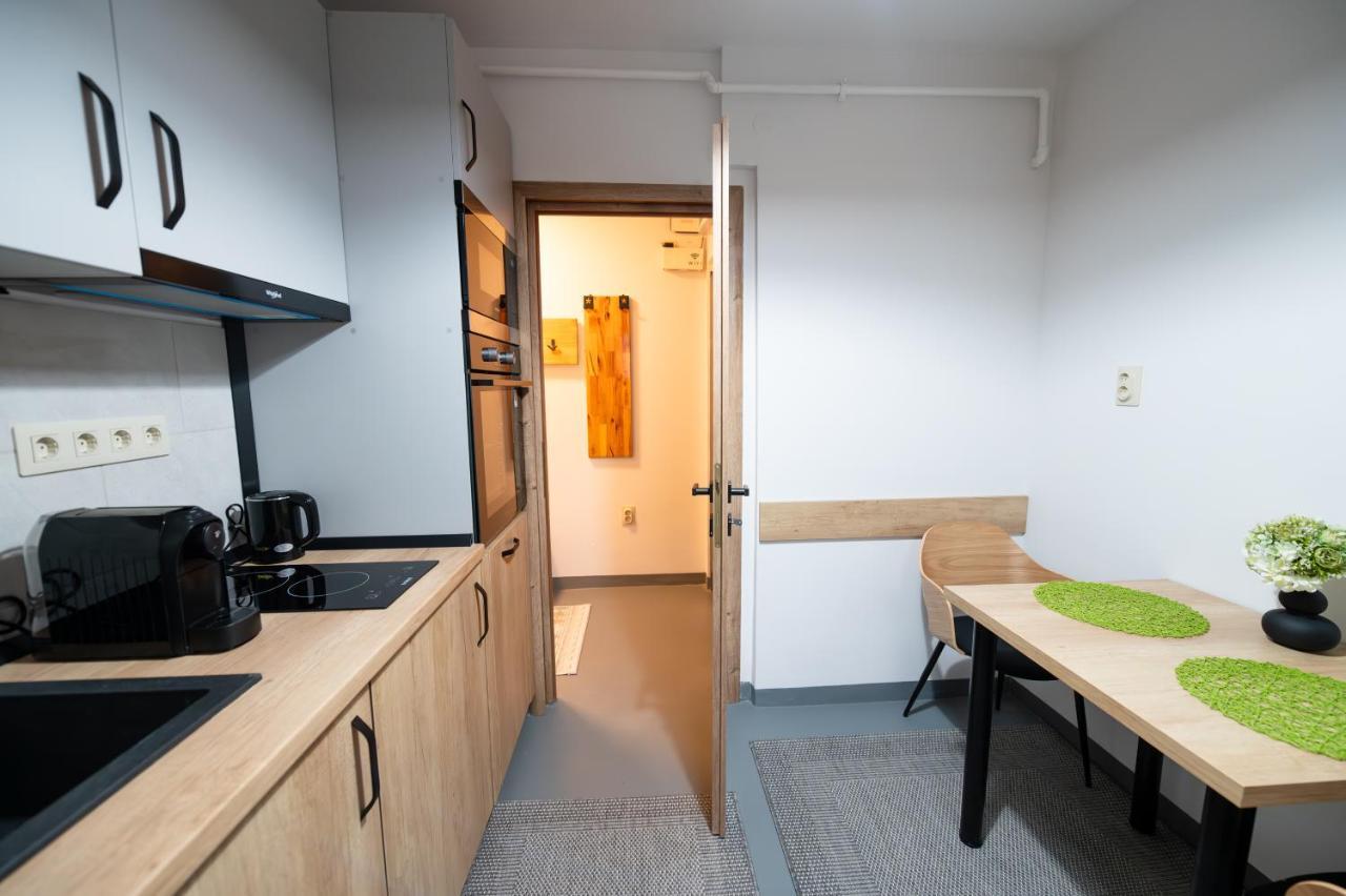 Fortuna Apartments Baia Mare Luaran gambar
